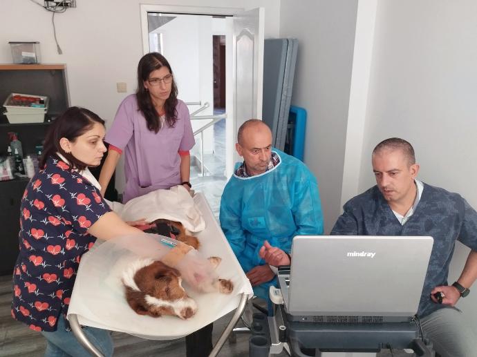 Echocardiology_21-22.10.2023_2