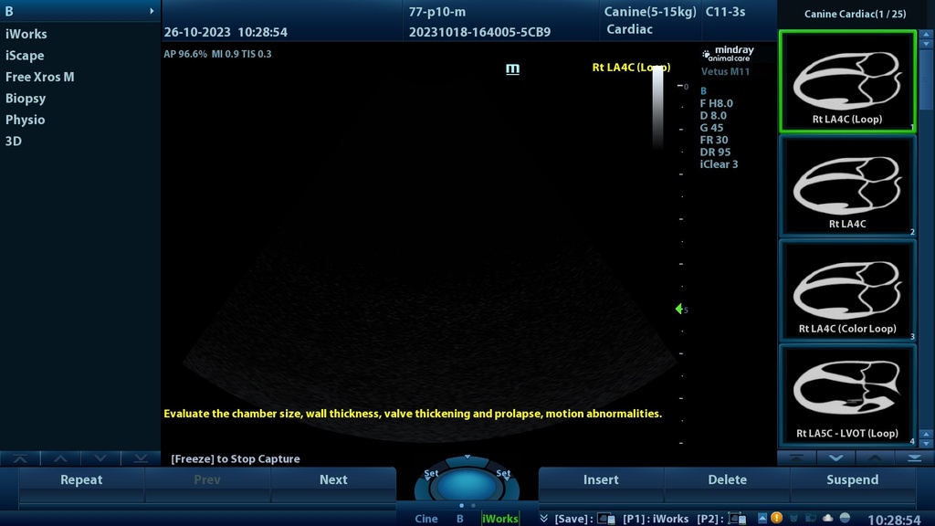 Vetus M11 view 5