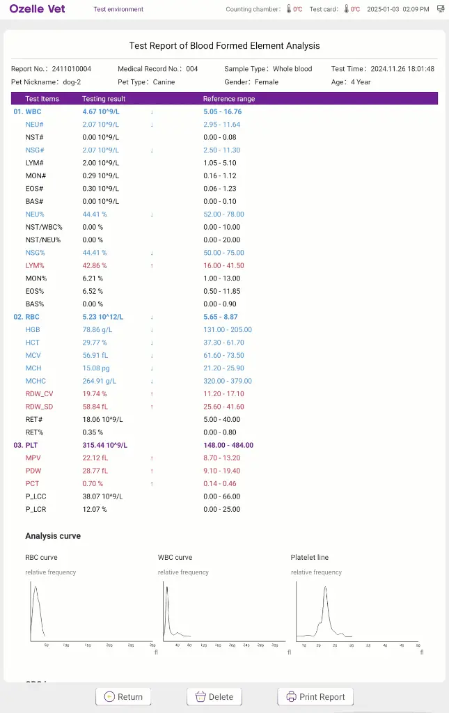 5. Report Generated.webp